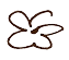 daisy logo