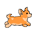 Run Corgi Run